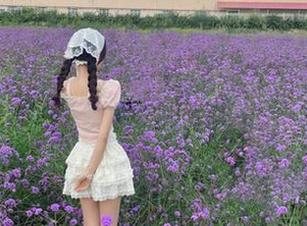 17c吃瓜精彩内容分享，不容错过的热门话题