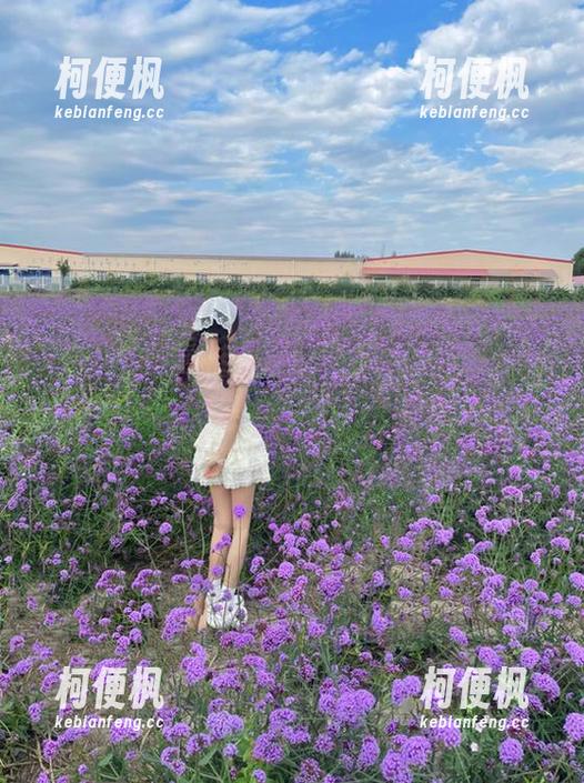 17c吃瓜精彩内容分享，不容错过的热门话题