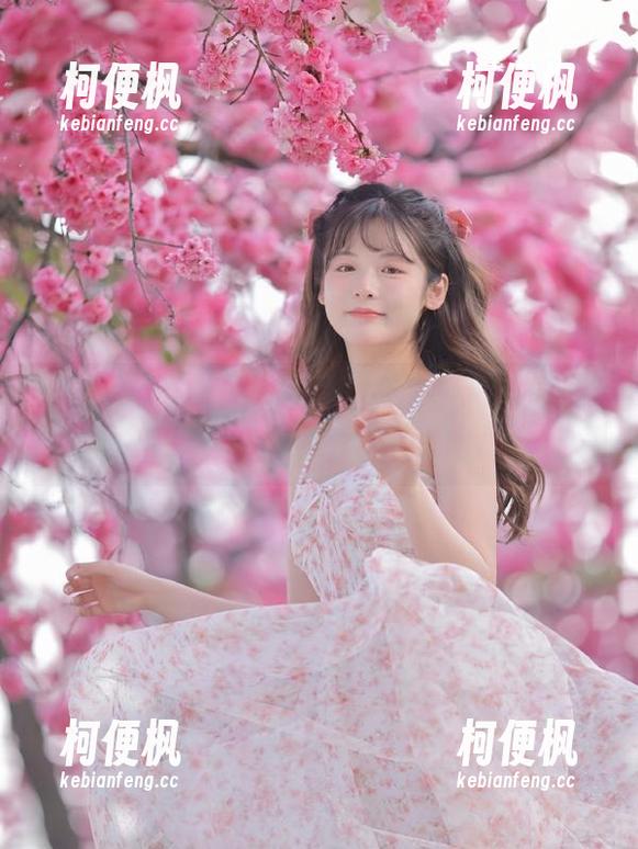 355fun吃瓜平台入口登录操作详解，确保无忧体验