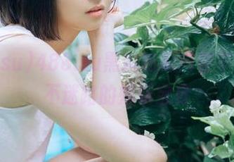 488.su黑料吃瓜内容丰富,永不迷路的娱乐宝库