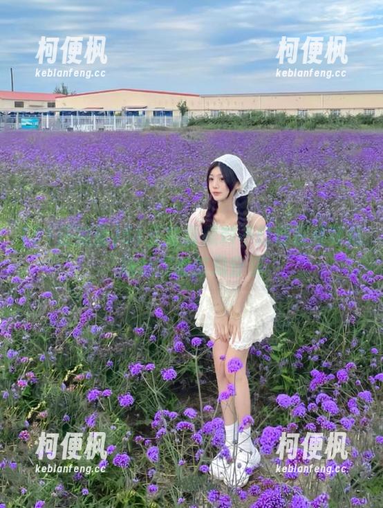 51正能量 51正能量黑料不打烊权威导航地址完整信息分享