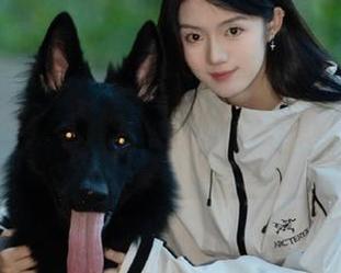 五一吃瓜群众朝阳震撼更新热门动漫视频