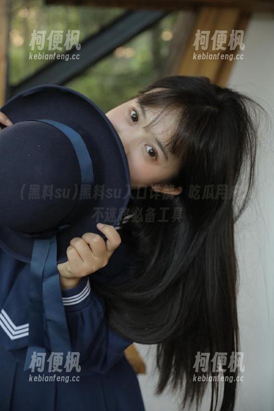 黑料su入口详解，吃瓜用户永不迷路必备工具