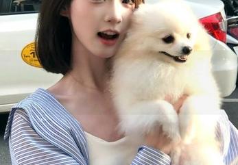 黑料不打烊黑料网今日吃瓜官网丰富资源等你来